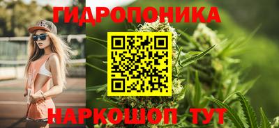 амф Ярославль