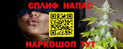 амф Ярославль