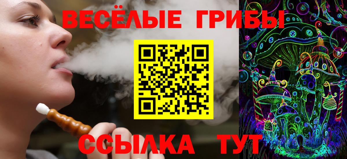 где можно купить наркотик  Псилоцибиновые грибы ЛСД  Вход с VPN  Алейск  Галлюциногенные грибы Psilocybine cubensis 